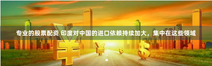 专业的股票配资 印度对中国的进口依赖持续加大，集中在这些领域